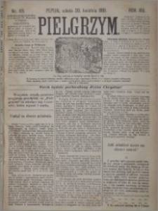 Pielgrzym, pismo religijne dla ludu 1881 nr 49