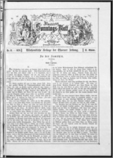 Illustrirtes Sonntags-Blatt : Wöchentliche Beilage der Thorner Zeitung 1878, Nr 41