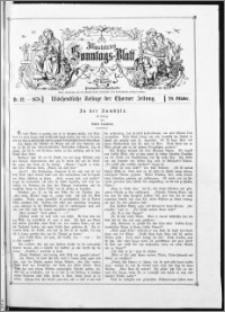 Illustrirtes Sonntags-Blatt : Wöchentliche Beilage der Thorner Zeitung 1878, Nr 42