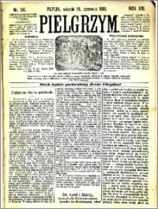 Pielgrzym, pismo religijne dla ludu 1881 nr 66