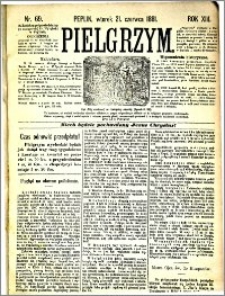 Pielgrzym, pismo religijne dla ludu 1881 nr 69