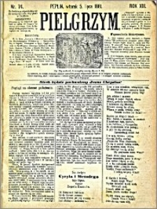 Pielgrzym, pismo religijne dla ludu 1881 nr 74