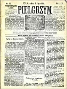 Pielgrzym, pismo religijne dla ludu 1881 nr 76