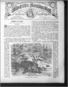 Illustrirtes Sonntags Blatt 1884, nr 32