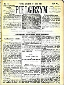 Pielgrzym, pismo religijne dla ludu 1881 nr 78