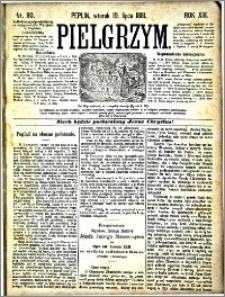 Pielgrzym, pismo religijne dla ludu 1881 nr 80