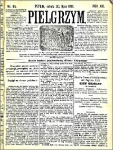 Pielgrzym, pismo religijne dla ludu 1881 nr 85