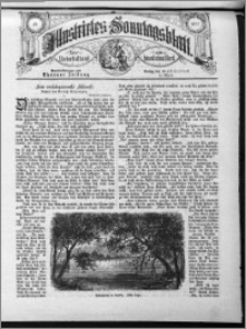 Illustrirtes Sonntagsblatt 1887, nr 45