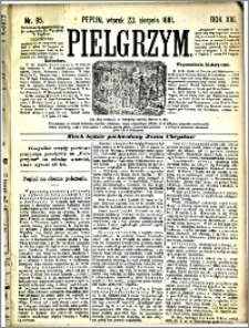 Pielgrzym, pismo religijne dla ludu 1881 nr 95