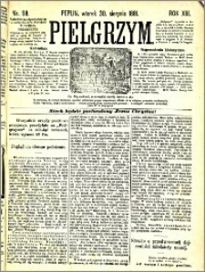 Pielgrzym, pismo religijne dla ludu 1881 nr 98