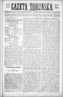 Gazeta Toruńska 1869.10.31, R. 3 nr 252