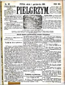 Pielgrzym, pismo religijne dla ludu 1881 nr 112