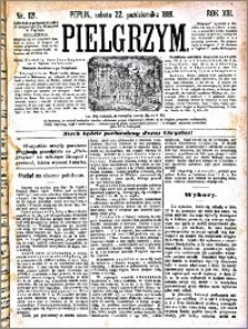 Pielgrzym, pismo religijne dla ludu 1881 nr 121