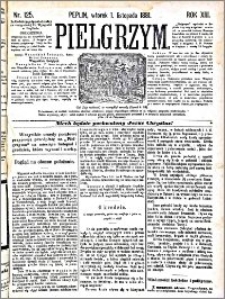 Pielgrzym, pismo religijne dla ludu 1881 nr 125