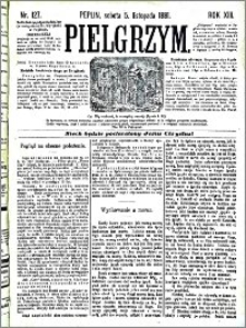 Pielgrzym, pismo religijne dla ludu 1881 nr 127