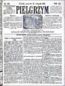 Pielgrzym, pismo religijne dla ludu 1881 nr 129