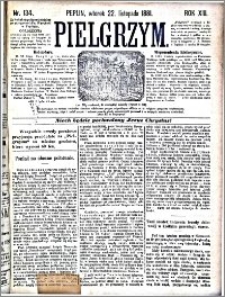 Pielgrzym, pismo religijne dla ludu 1881 nr 134