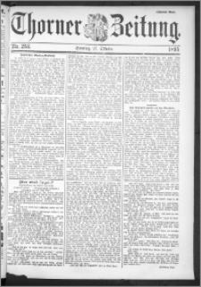 Thorner Zeitung 1895, Nr. 253 Zweites Blatt