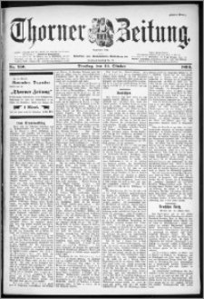 Thorner Zeitung 1899, Nr. 250 Erstes Blatt