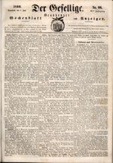 Der Gesellige : Graudenzer Wochenblatt und Anzeiger 1860.06.09 nr 66