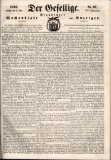 Der Gesellige : Graudenzer Wochenblatt und Anzeiger 1860.06.12 nr 67