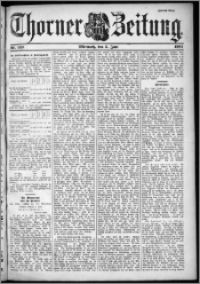 Thorner Zeitung 1901, Nr. 129 Zweites Blatt