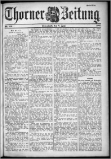 Thorner Zeitung 1901, Nr. 132 Zweites Blatt