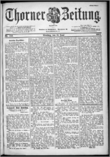 Thorner Zeitung 1901, Nr. 134 Erstes Blatt