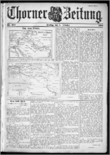 Thorner Zeitung 1901, Nr. 233 Zweites Blatt