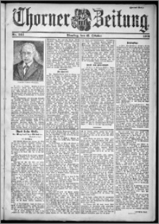 Thorner Zeitung 1901, Nr. 242 Zweites Blatt