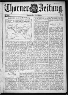 Thorner Zeitung 1901, Nr. 247 Zweites Blatt