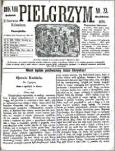 Pielgrzym, pismo religijne dla ludu. Dodatek niedzielny 1876 nr 23