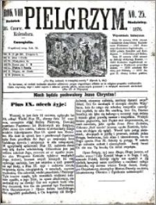 Pielgrzym, pismo religijne dla ludu. Dodatek niedzielny 1876 nr 25