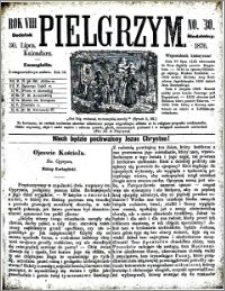 Pielgrzym, pismo religijne dla ludu. Dodatek niedzielny 1876 nr 30