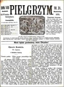 Pielgrzym, pismo religijne dla ludu. Dodatek niedzielny 1876 nr 38