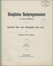 Bericht über das Schuljahr 1912-1913