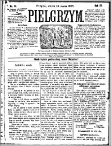 Pielgrzym, pismo religine dla ludu 1877 nr 29