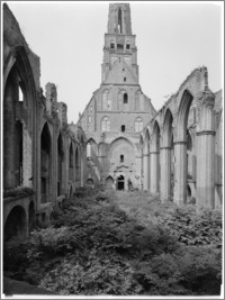 Chojna. Ruiny Kościoła Mariackiego - nawa główna