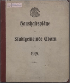 Haushaltspläne der Stadtgemeinde Thorn für 1919