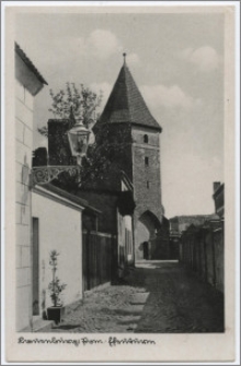 Lauenburg i. Pom. : Efeuturm