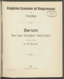 Bericht über das Schuljahr 1900/1901 [...]