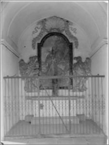 Svatý Kopeček k. Ołomuńca (Morawy, Czechy). Bazylika Mniejsza Nawiedzenia Maryi Panny. Wnętrze-kaplica boczna autorstwa Baltazara Fontany