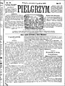 Pielgrzym, pismo religijne dla ludu 1877 nr 140