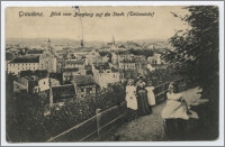 Graudenz. Blick vom Burgberg auf die Sadt. (Teilansicht)