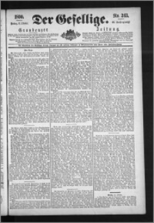 Der Gesellige : Graudenzer Zeitung 1890.10.17, Jg. 65, No. 243