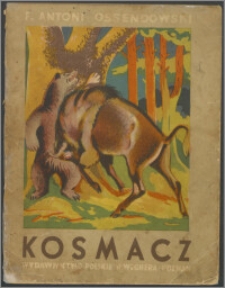 Kosmacz