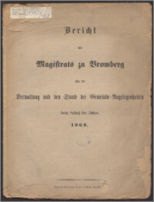 Bericht des Magistrats zu Bromberg über die Verwaltung und den Stand der Gemeinde-Angelegenheiten beim Schluss des Jahres 1868
