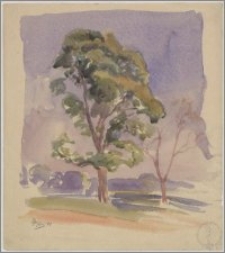 Dwa drzewa - szkic krajobrazu