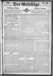 Der Gesellige : Graudenzer Zeitung 1893.09.03, Jg. 68, No. 207