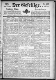 Der Gesellige : Graudenzer Zeitung 1893.10.20, Jg. 68, No. 247